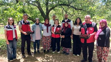 Kütahya'da Organik Tarım Değerlendirmesi