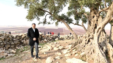 Göbekli Anıt Zeytin Ağacı Projesi Tamamlandı