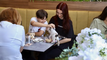 Üsküp'te Kedili Kafe Hayvanseverlerin Buluşma Noktası