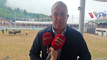 Kafkasör Festivali'nde Boğa Güreşleri Şampiyonları Belirlendi