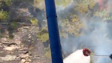 Bozdoğan'daki orman yangını ekiplerin hızlı müdahalesi ile kontrol altına alındı