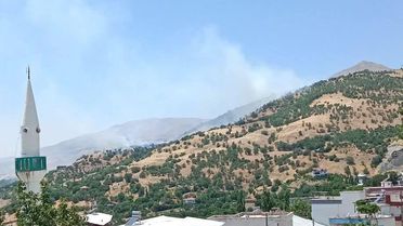 Diyarbakır Çüngüş'te Örtü Yangını