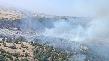 Kahramanmaraş'ta orman yangını kontrol altına alındı
