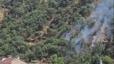 Tosya'da Orman Yangını Çıktı