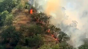 Kastamonu'da orman yangınında 40 dönümlük alan zarar gördü