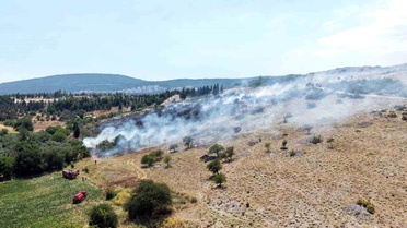 Menteşe'deki makilik yangını kontrol altına alındı