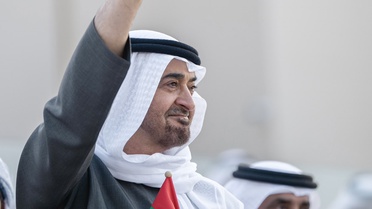 Sisi ve Zayed'den Ortak Toplantı
