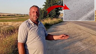 Tokat'ta binlerce kurbağa kara yolunu istila etti