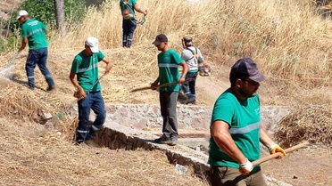 Yangınlara karşı Ayvalık'ta kuru ot temizliği aralıksız sürüyor