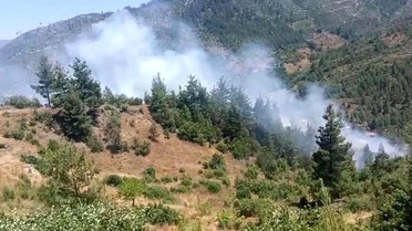 Adana'da Orman Yangınına Müdahale Sürüyor