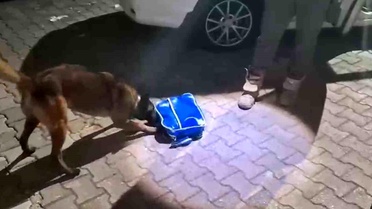 Sakarya'da Uyuşturucu Operasyonu