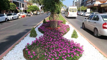 Alanya Belediyesi'nden yeşil alanlarda yoğun mesai