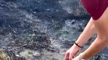 Alevlerin arasından kurtardıkları kaplumbağayı serinlettiler