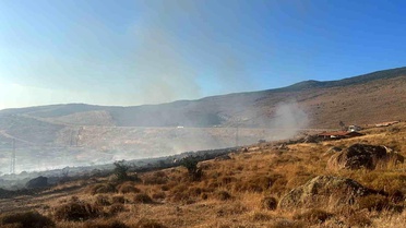 Aliağa'da otluk alanda yangın