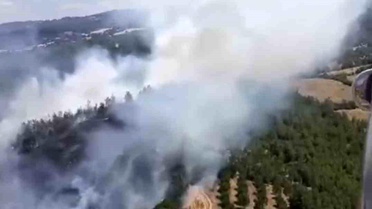 Balıkesir'de yangın ormana sıçradı