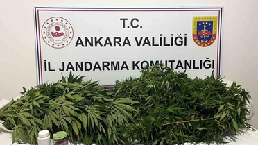 Ankara'da Kenevir Operasyonu: Bir Gözaltı