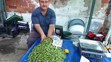 Burhaniye'de Bamya Fiyatları Zirveye Çıktı