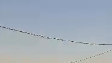 Datça'da Çarpışma: Yaralı Yok