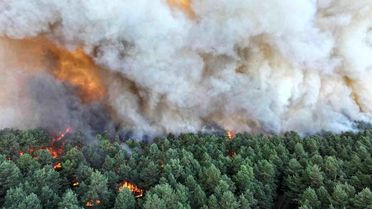 Fontainebleau Ormanı'nda Yangın: 3 Bin Dönüm Yandı