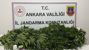 Haymana'da Uyuşturucu Operasyonu: 1 Gözaltı