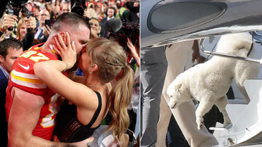 İşte Taylor Swift ve Travis Kelce'nin sır gibi sakladığı köpeği!