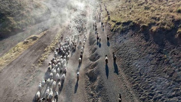 Bitlis'te Besicilerin Zorlu Tozlu Yolculuğu