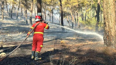 Ortaca'da orman yangını