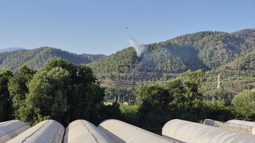 Muğla'da Orman Yangını Kontrol Altına Alındı