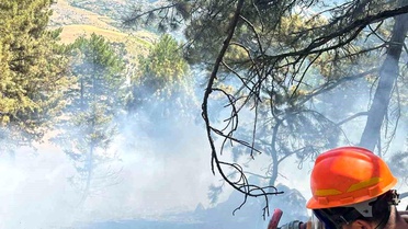 Adana'da Orman Yangını Kontrol Altına Alındı