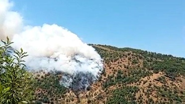 Aydın'da Sarp Arazide Yangın Çıktı