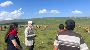 Susuz Yaylası'nda Tarım ve Hayvancılık İncelemesi