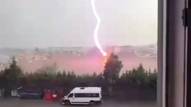 Tekirdağ'da Palmiye Ağacına Yıldırım Düştü