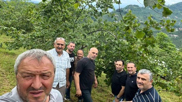 2026 Fındık Rekoltesi İçin Çotanak Sayımı Başladı
