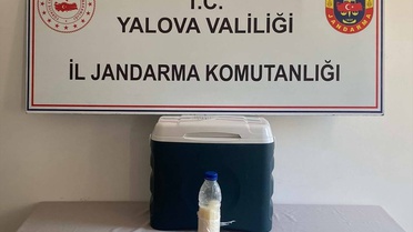 Yalova'da 500 gram akrep zehri ele geçirildi