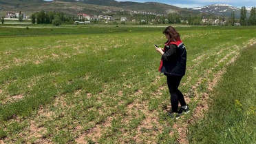 Ürün Tespit Çalışmaları Devam Ediyor