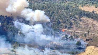 Bursa'da otluk alanda çıkan yangın ormana sıçradı