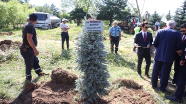 Erzurum'da 15 Temmuz anma çadırı açıldı, şehitlere ağaç dikildi