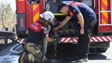 İzmir'de Bukalemun Yangından Kurtarıldı