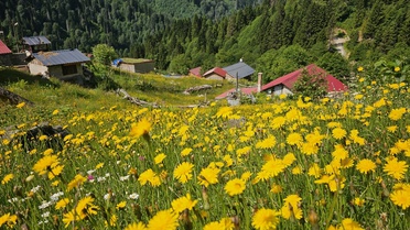 Kaçkar Dağları'nda Doğanın Keyfi