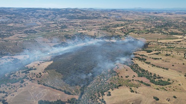 Kula'da Orman Yangını Kontrol Altında