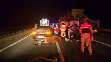 Bingöl'de Trafik Kazası: 2 Yaralı