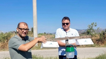 Pamuk Üretiminde Feromon Tuzakları Uygulaması