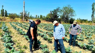 Sebze Üretim Alanlarında Kontroller Devam Ediyor