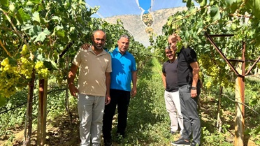 Manisa'da Üzüm Hasat Ziyareti