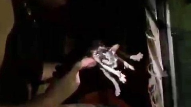 Büfedeki yangında mahsur kalan kedi kurtarıldı