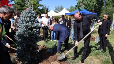 Direnişten Dirilişe: 15 Temmuz'un 10. yılında fidanlar toprakla buluştu