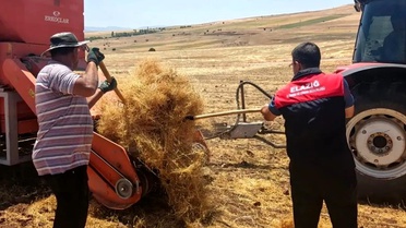 Elazığ'da Mercimek Hasat Kontrolleri Başladı
