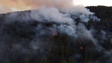 Kastamonu'da Yangın Ormana Sıçradı