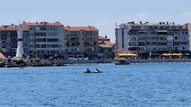 Tekirdağ'da Yunus Şöleni