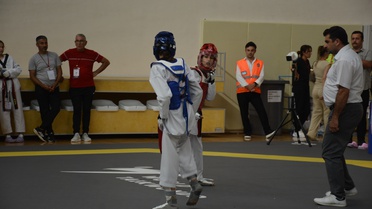 Sinop'ta Taekwondo Şampiyonası Açıldı